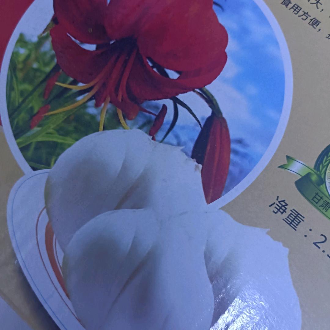 黑河之子
