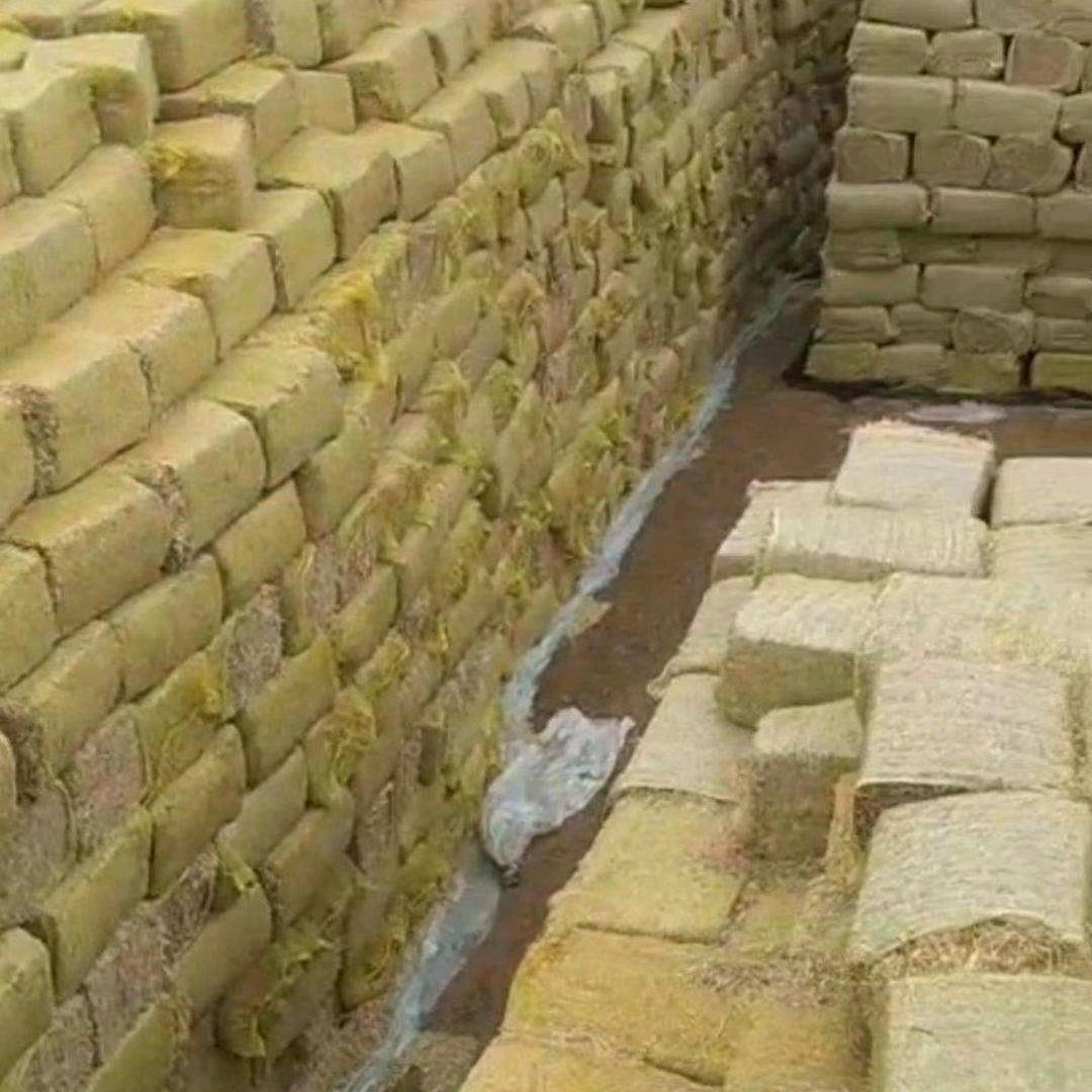 河北邯郸王泉草业