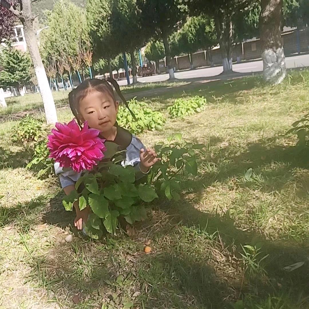 ┢寻走∝西藏の颖路