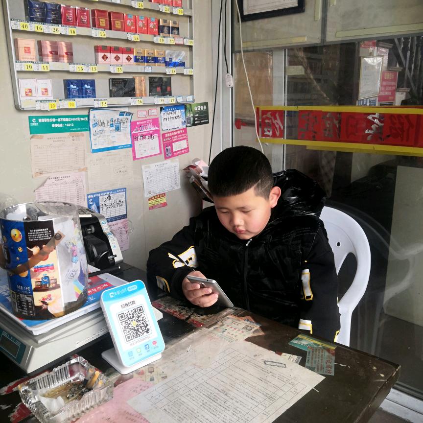 龟洋杯杯瘾荒野茶。