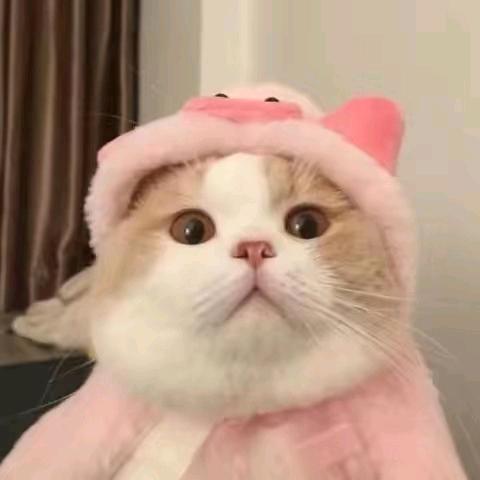 永玖百货商行