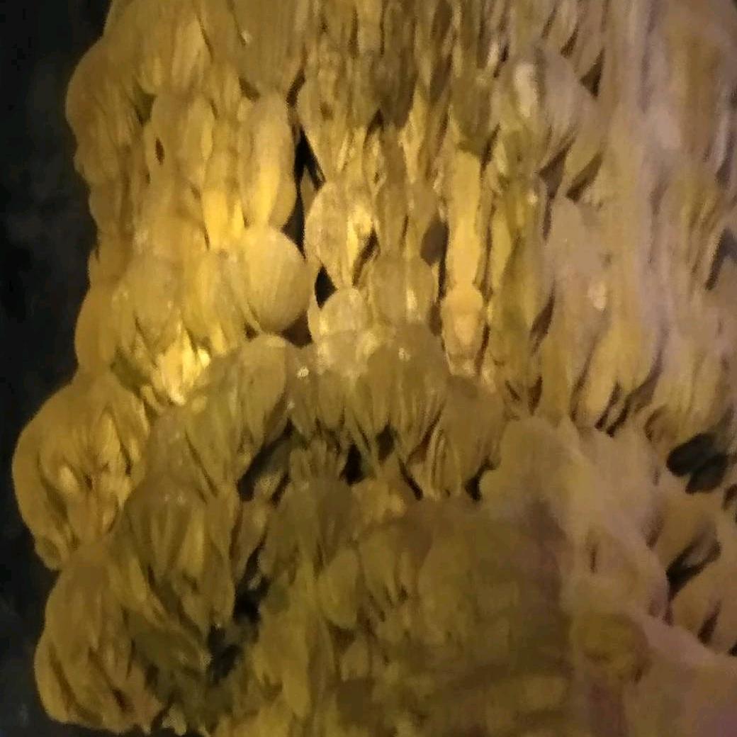 肥哥哥