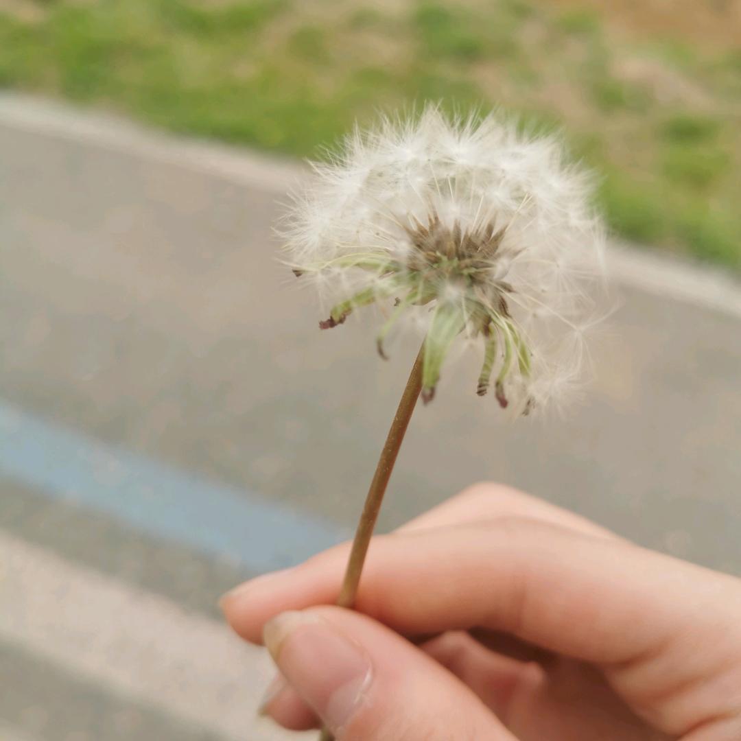 活成一束光