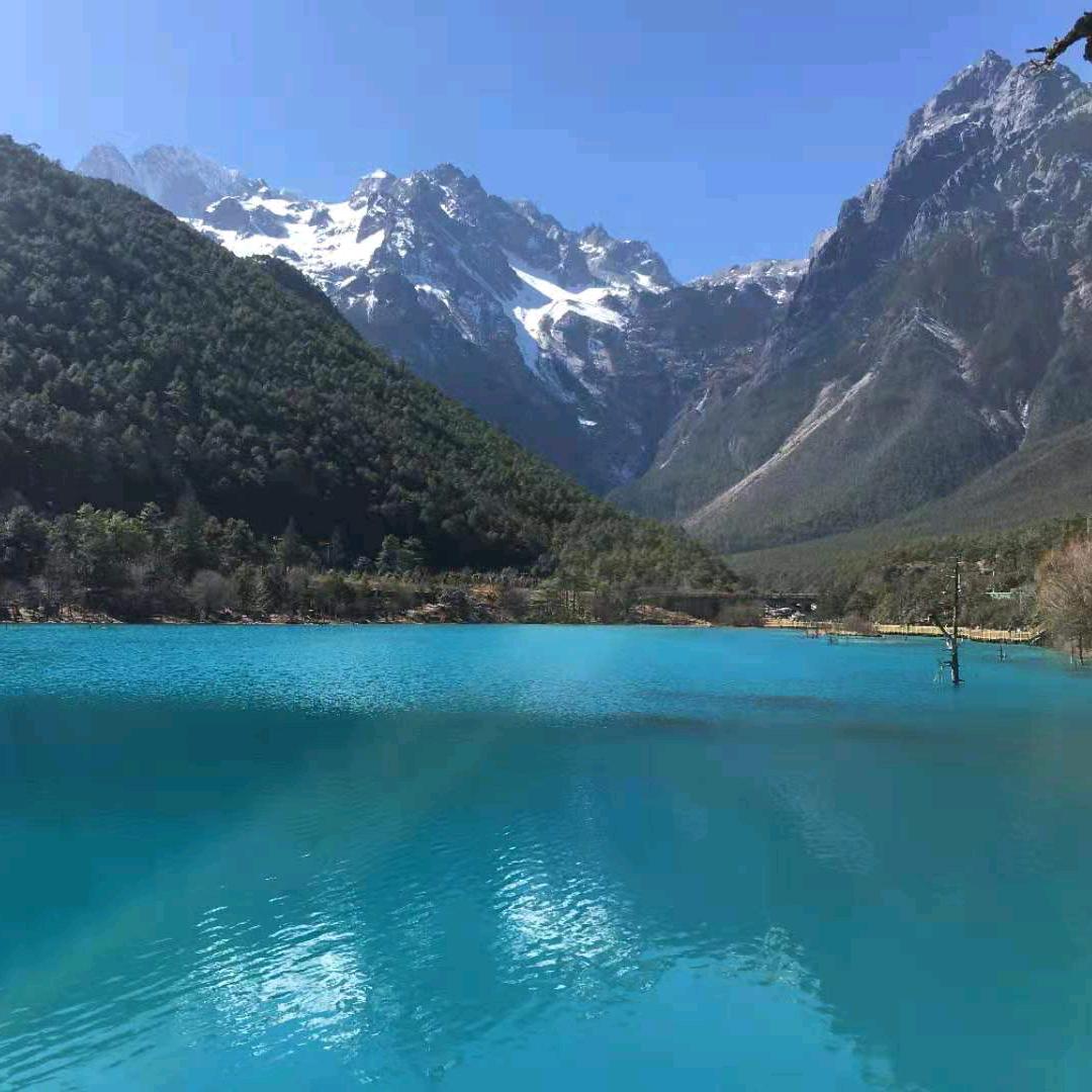 憨厚，冷静一点嘛❄️