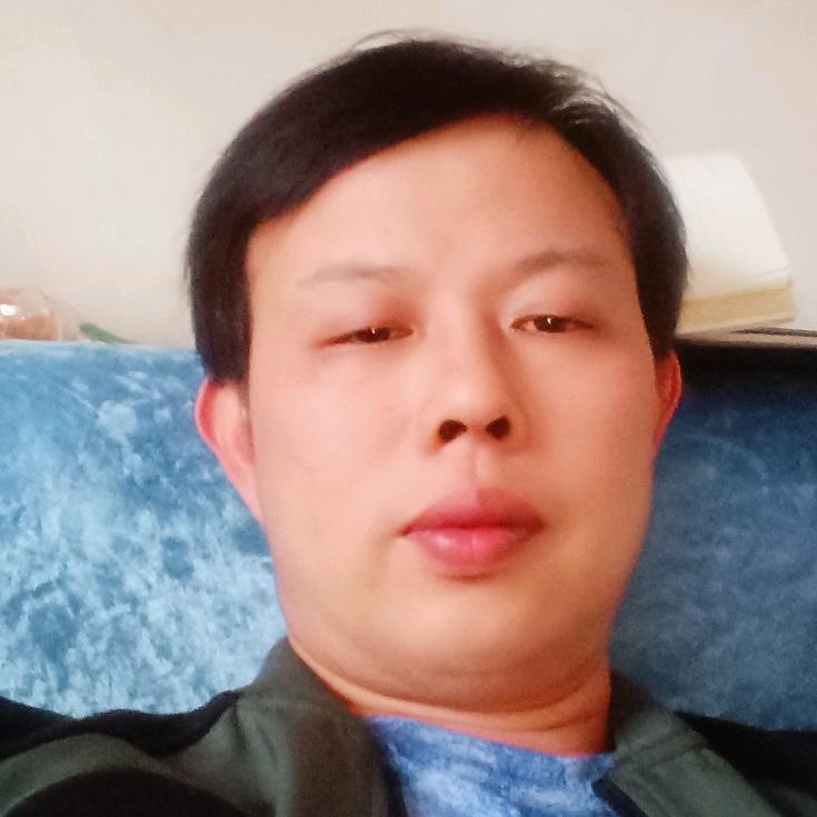 孤独的南雁在北方
