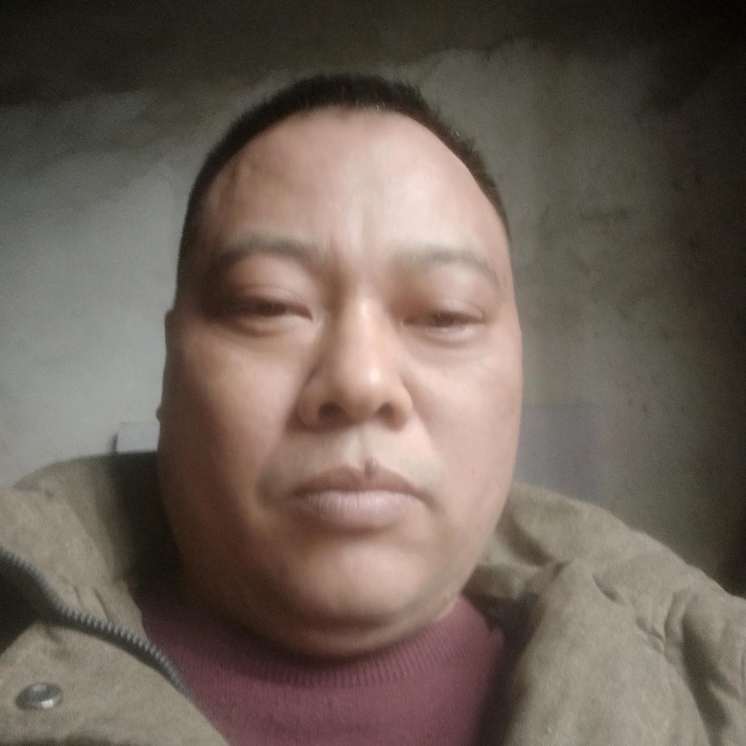 陶哥