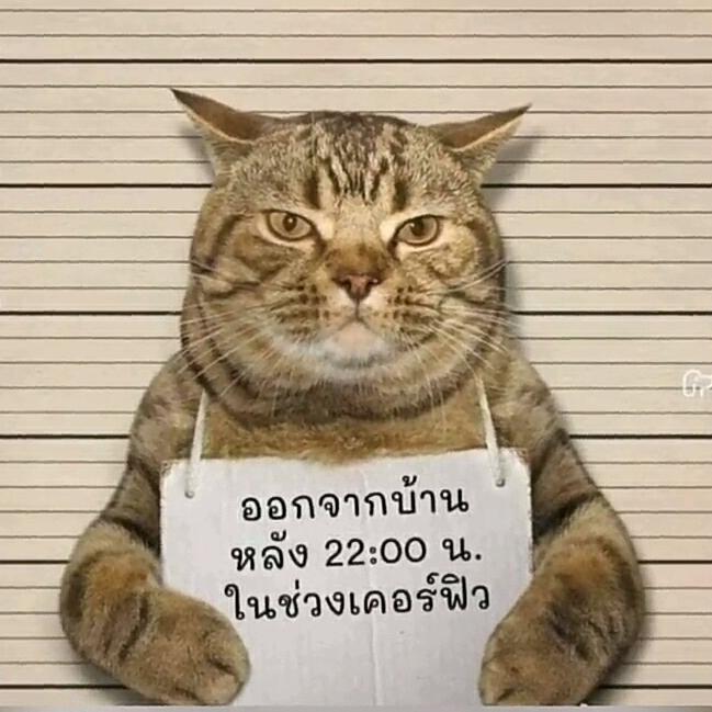 提莫队长正在送命