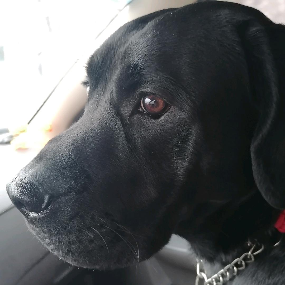 土豆，4894494796519