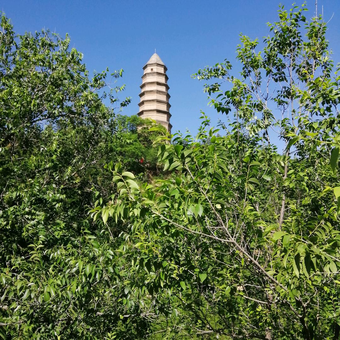 王元抖