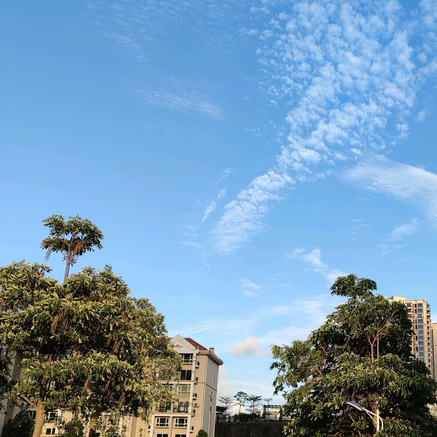 起个名字太难