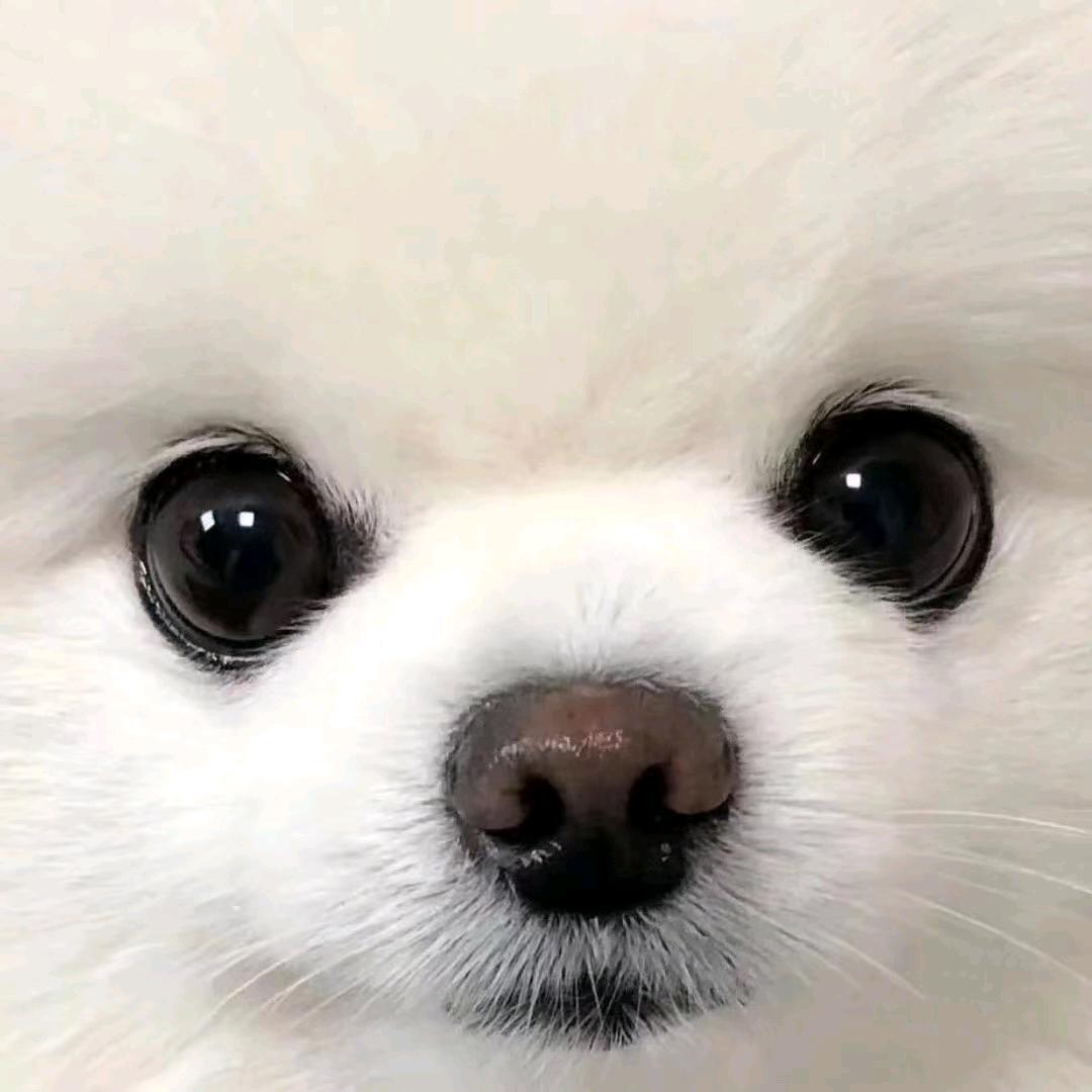 👀👀👀