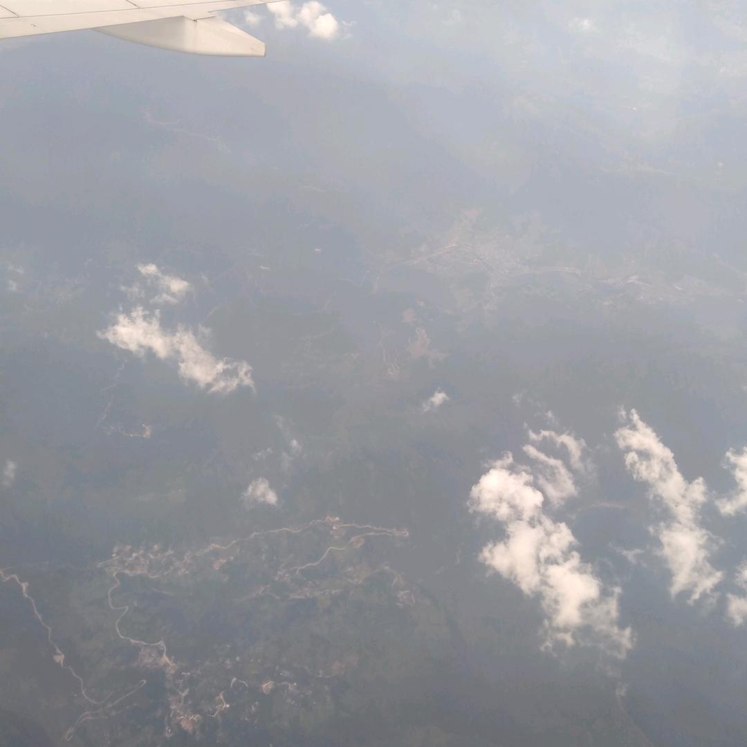 落叶