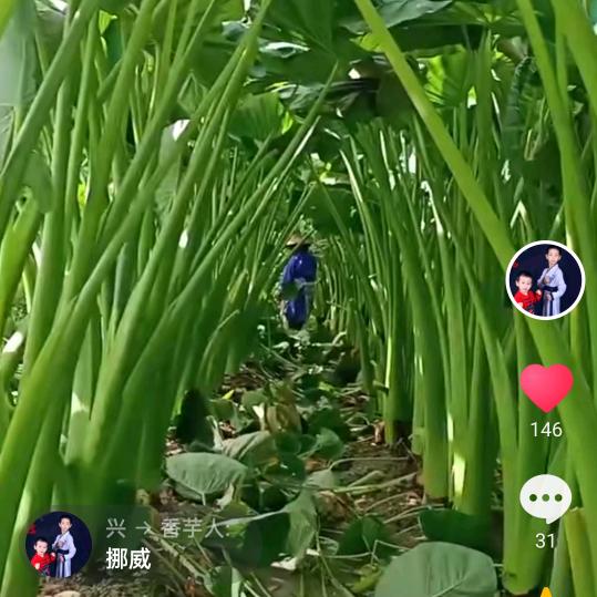 兴