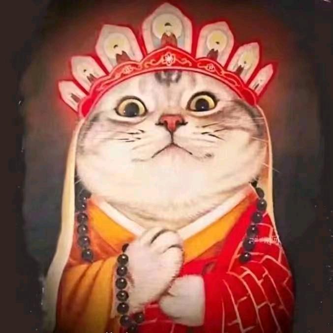 老街的猫