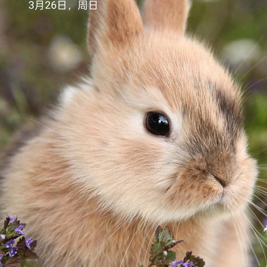 小璇