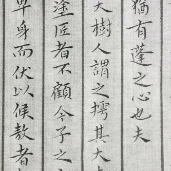 xa偶然