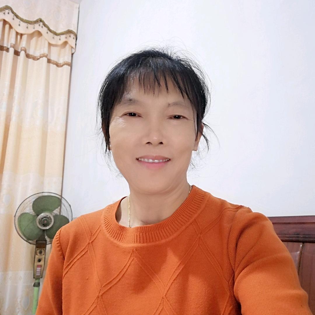 凤凤