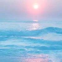 紫雪莲