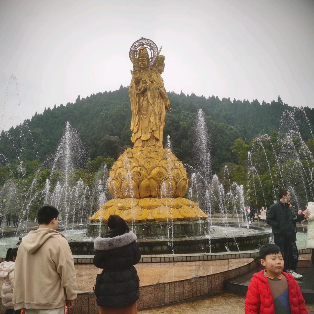 智哥