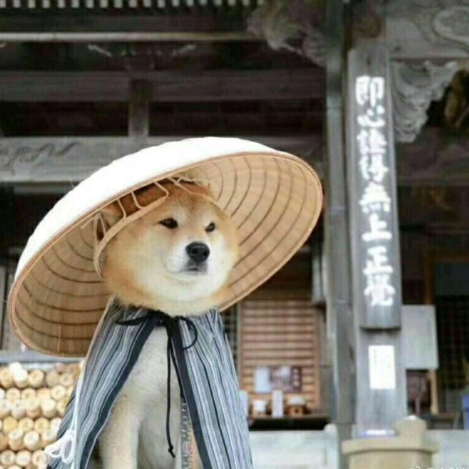 听说取个好名字能找到女朋友