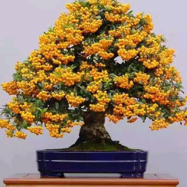 忙也静静，闲也静静。