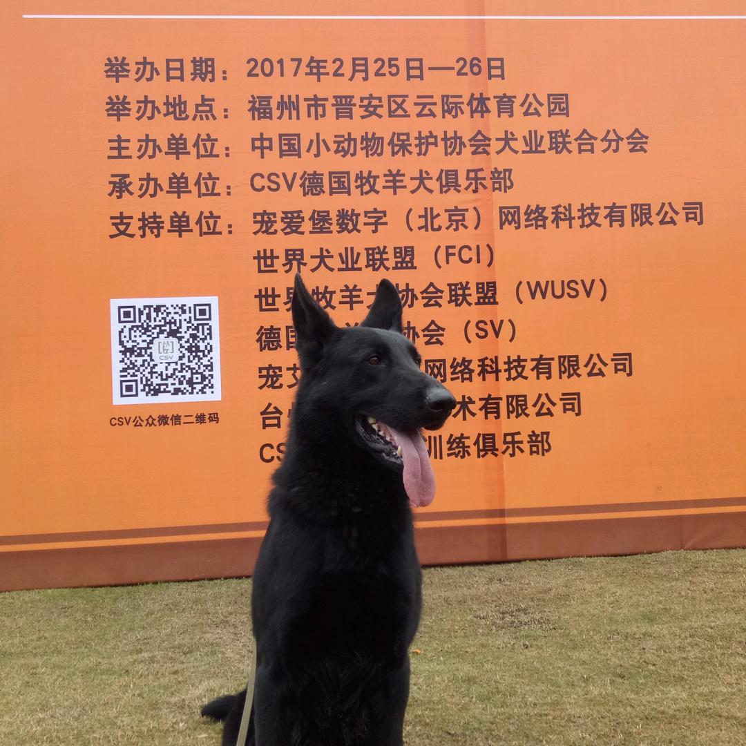 搏一回
