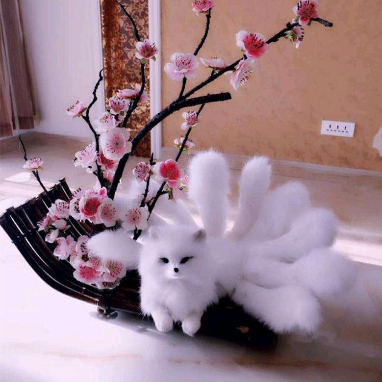 国宝小妮妮