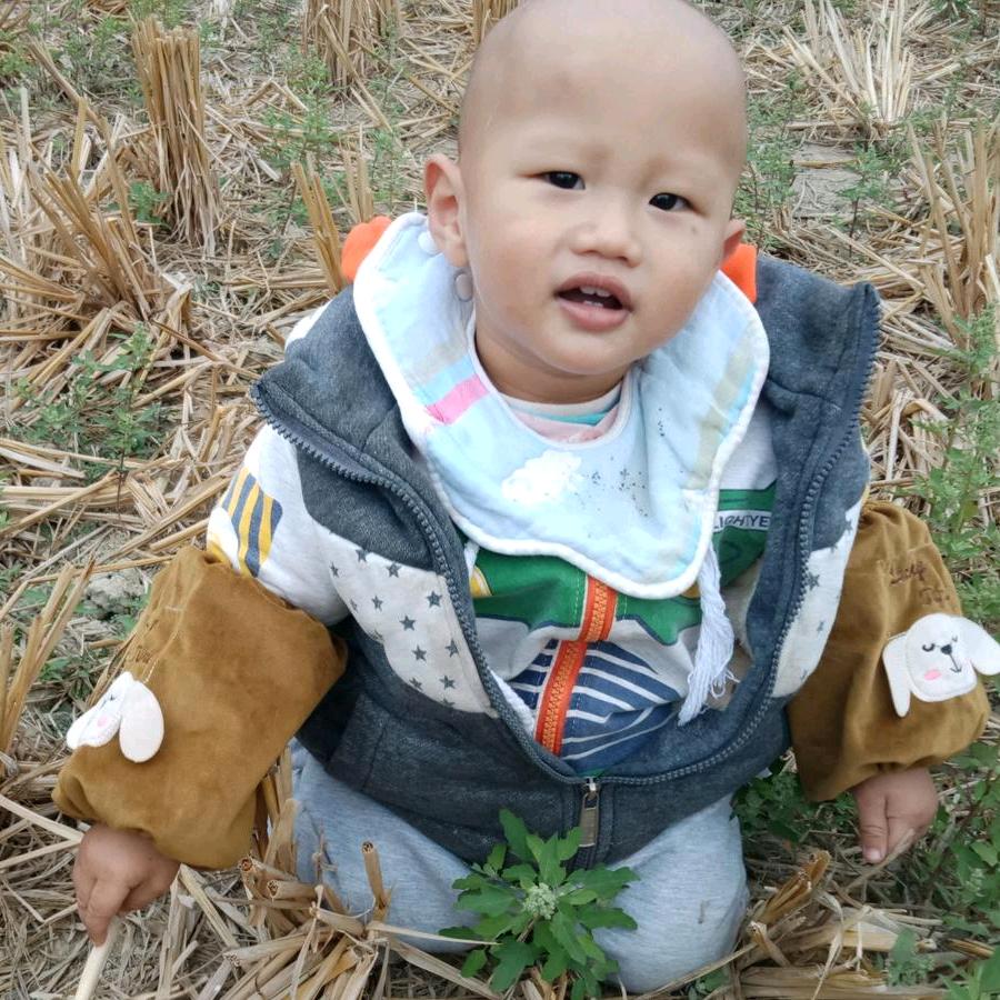 美好的未来🌹🌹🌹🌹🌸🌸🌼