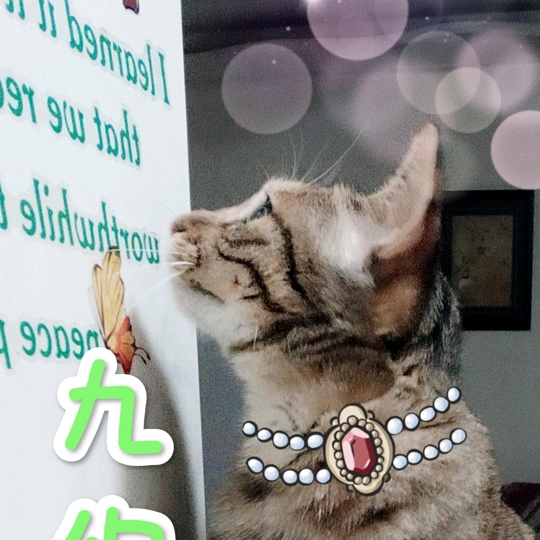 九霄片云☁️