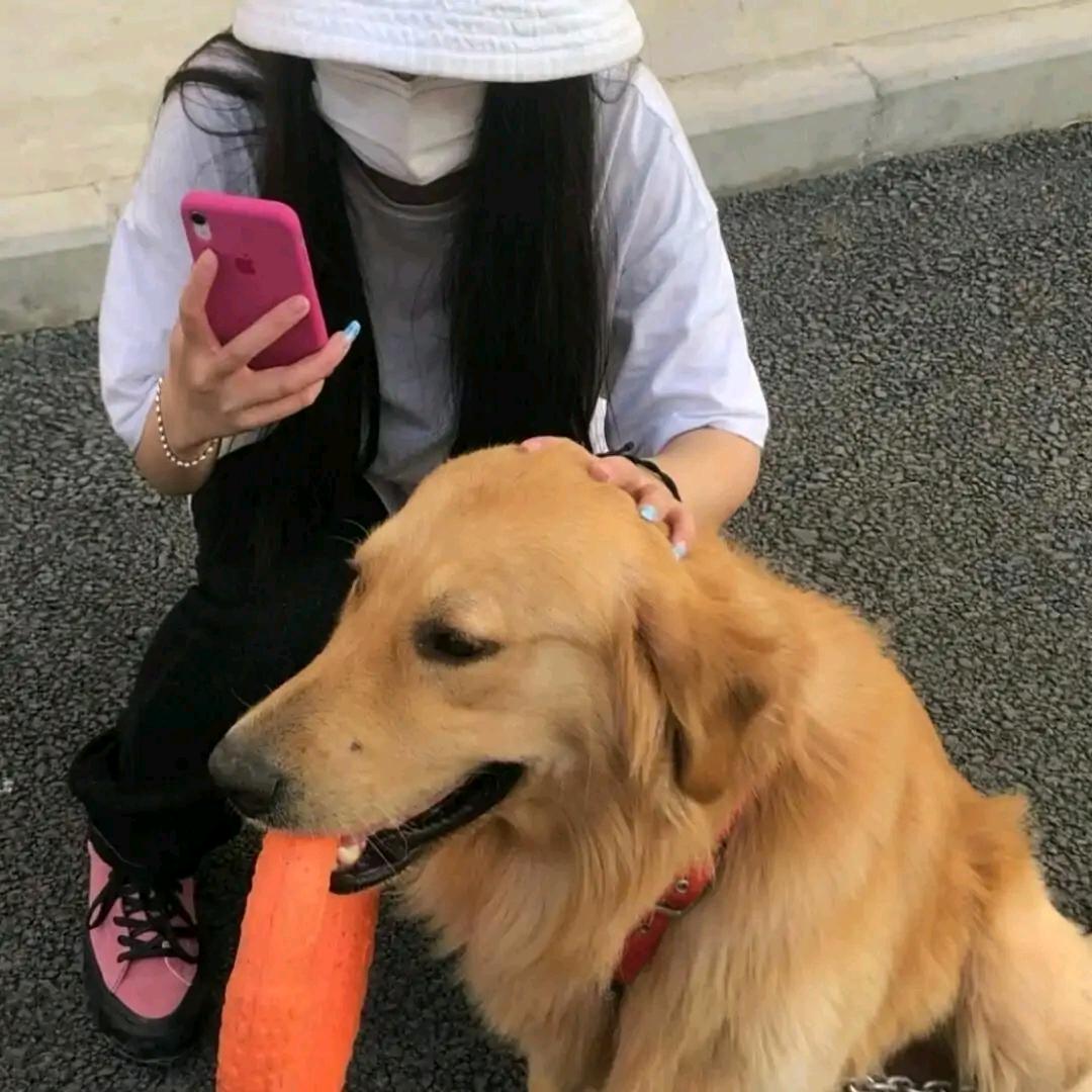 雏田