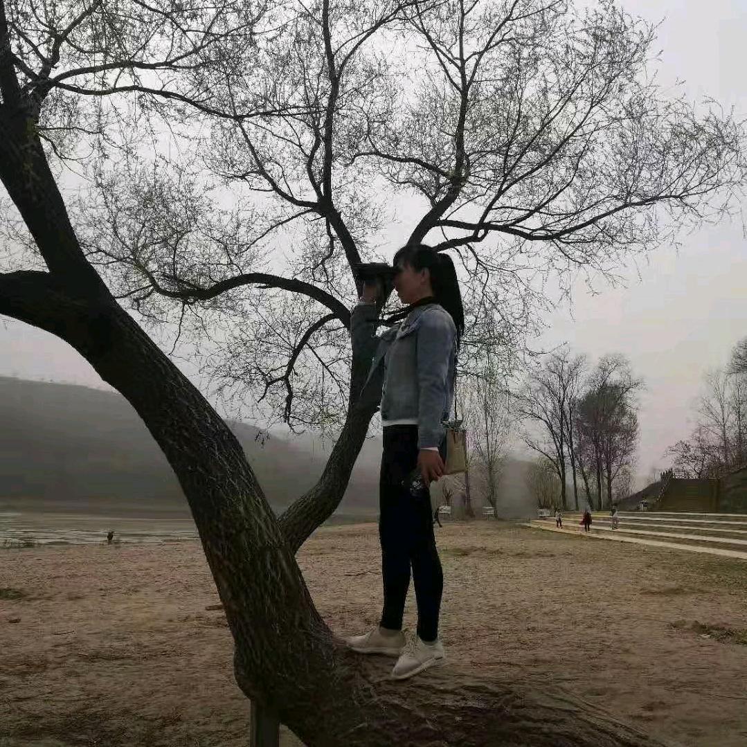 向阳而生，逐光而行