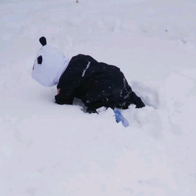 想看雪