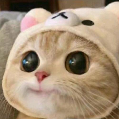 蹬蹬小腿儿