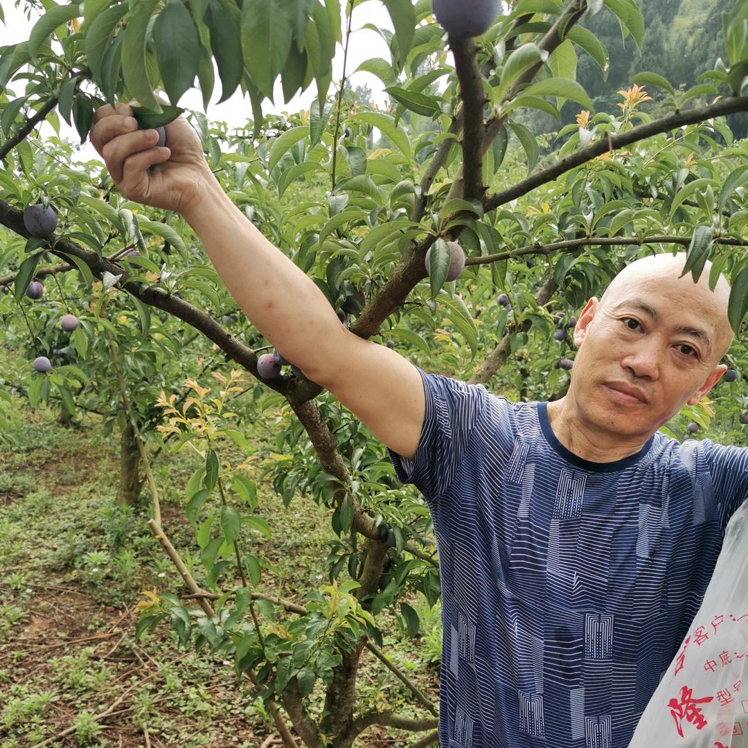 南充一鑫乒乓球俱乐部
