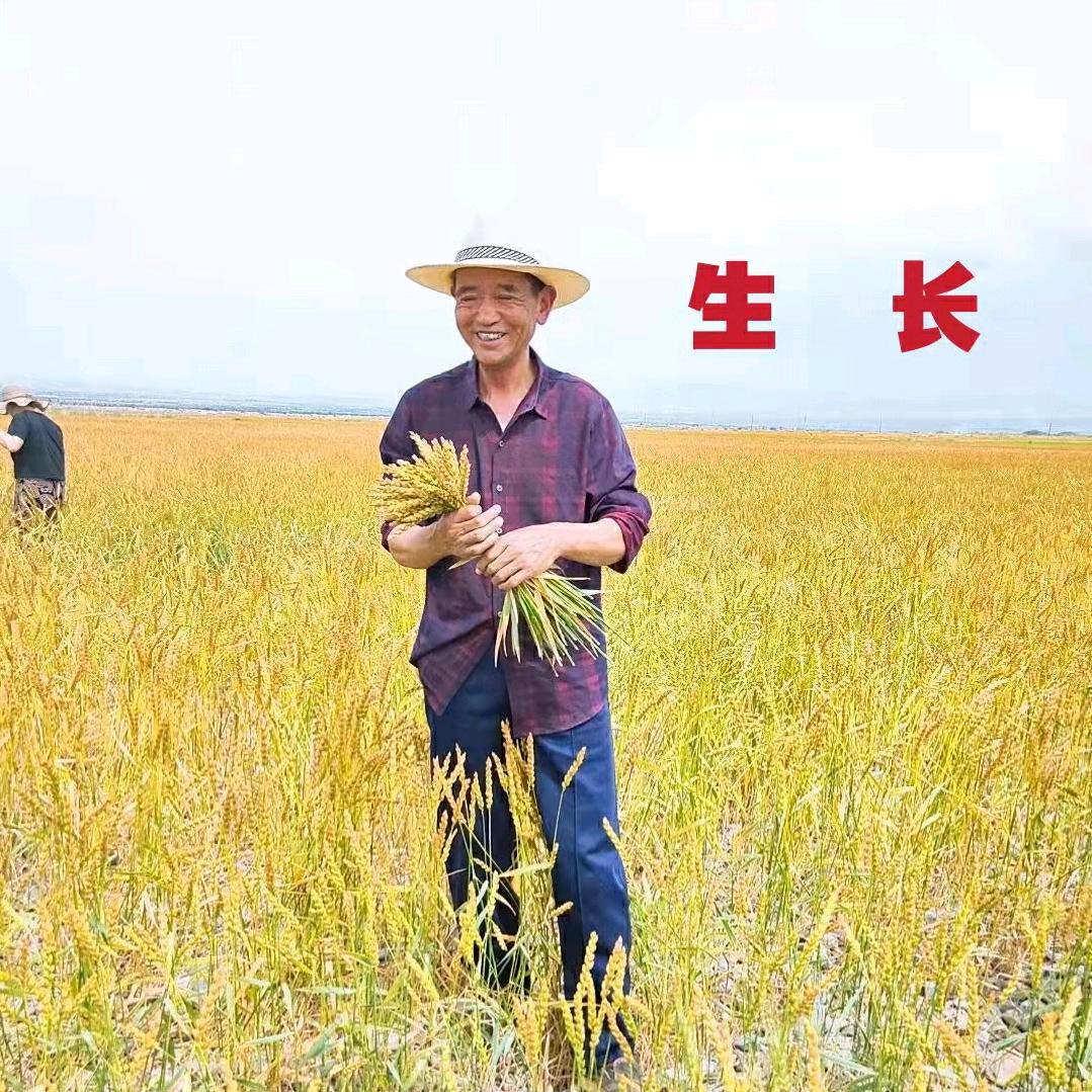 老沈和尚头面