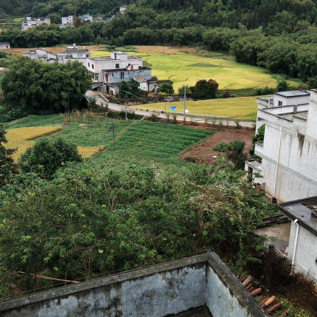 梁时
