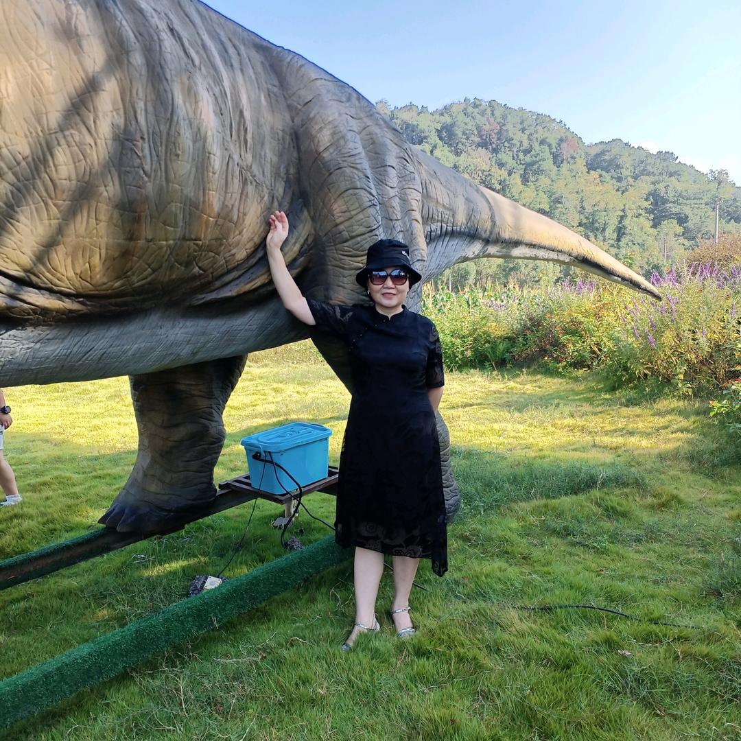 逝去的青春+🌾逝去的青春麦家班