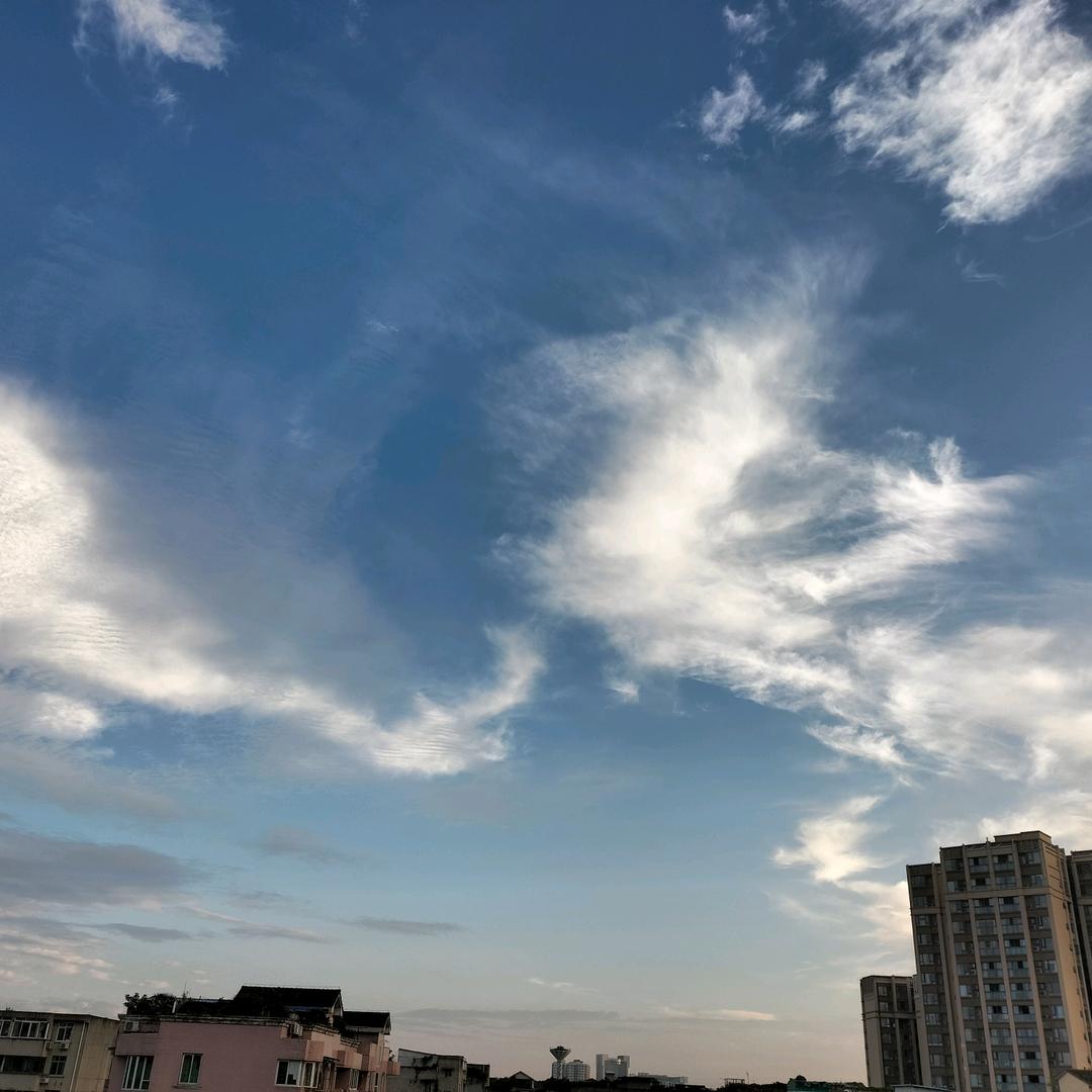 流浪的卡路里