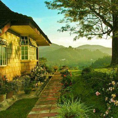 丽减美（富民路店）