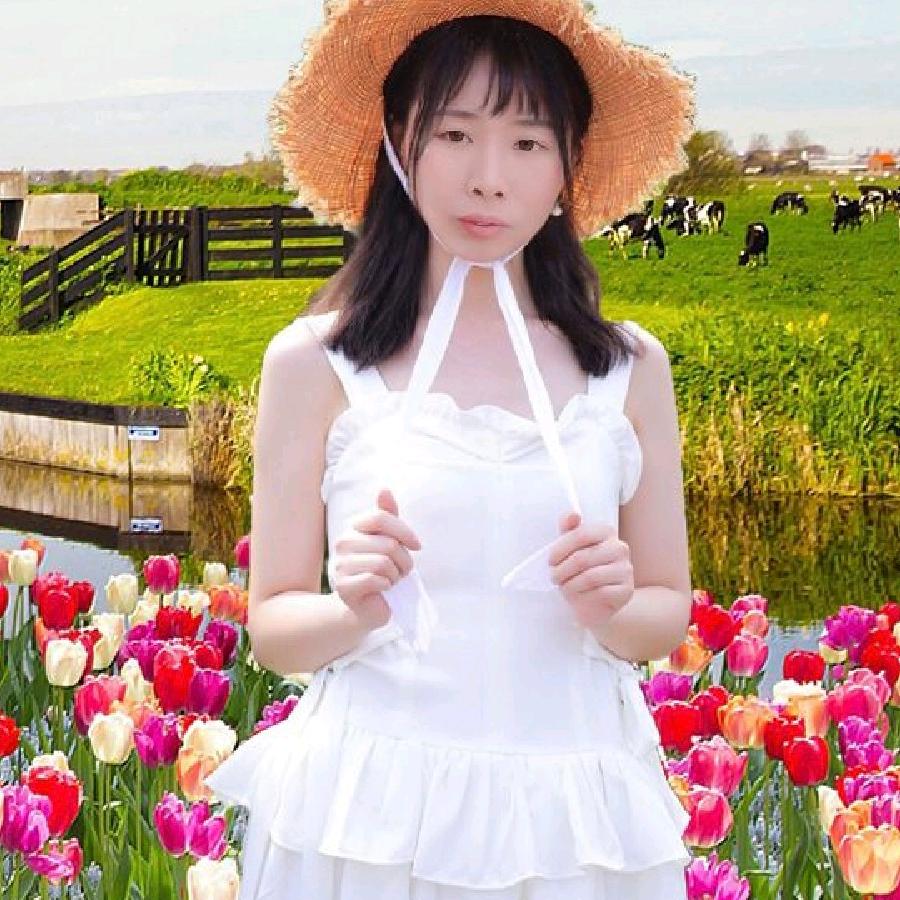 紫萝兰