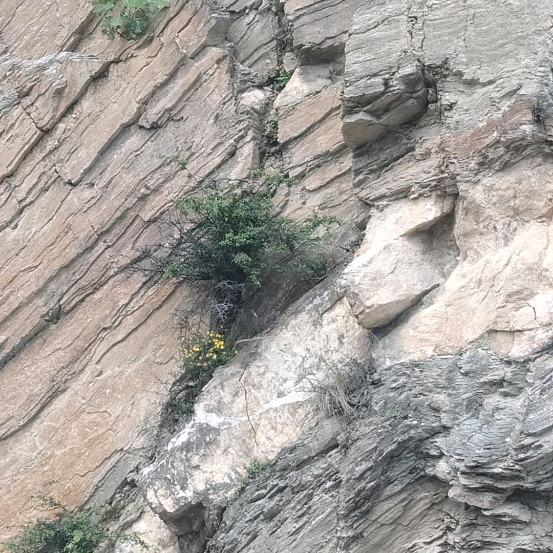 用户4982049196515愚公