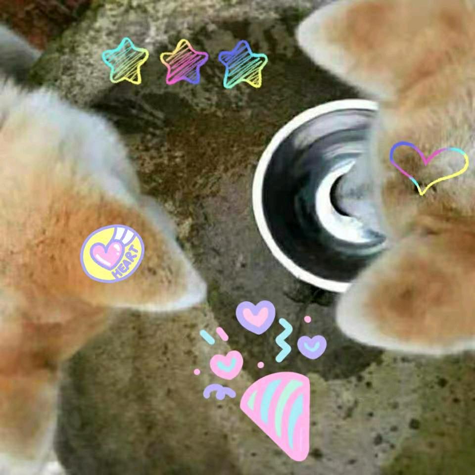 幸福快乐🌻