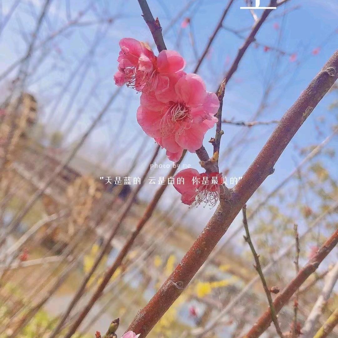 为你等待(不要连续点赞)谢谢😊