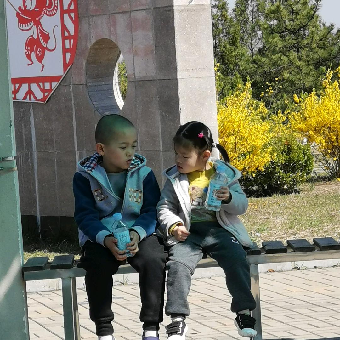 ヾ(＠⌒ー⌒＠)ノ