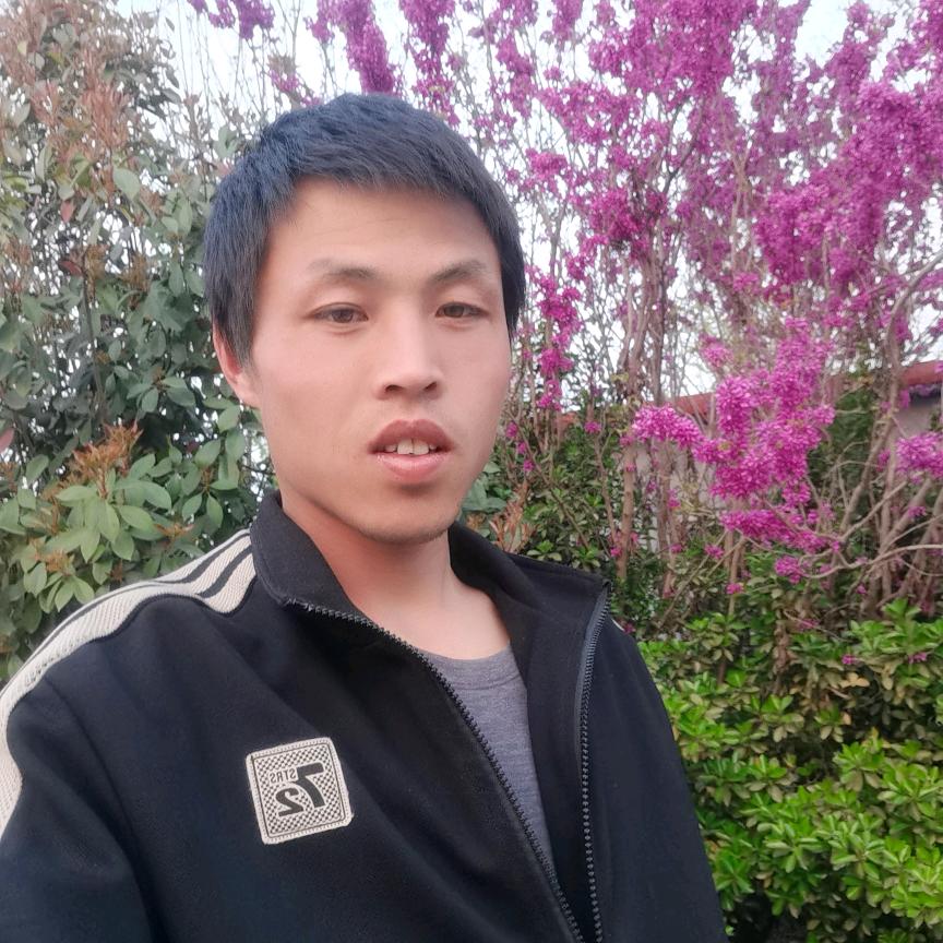 岁月静好，各种水果批发零售