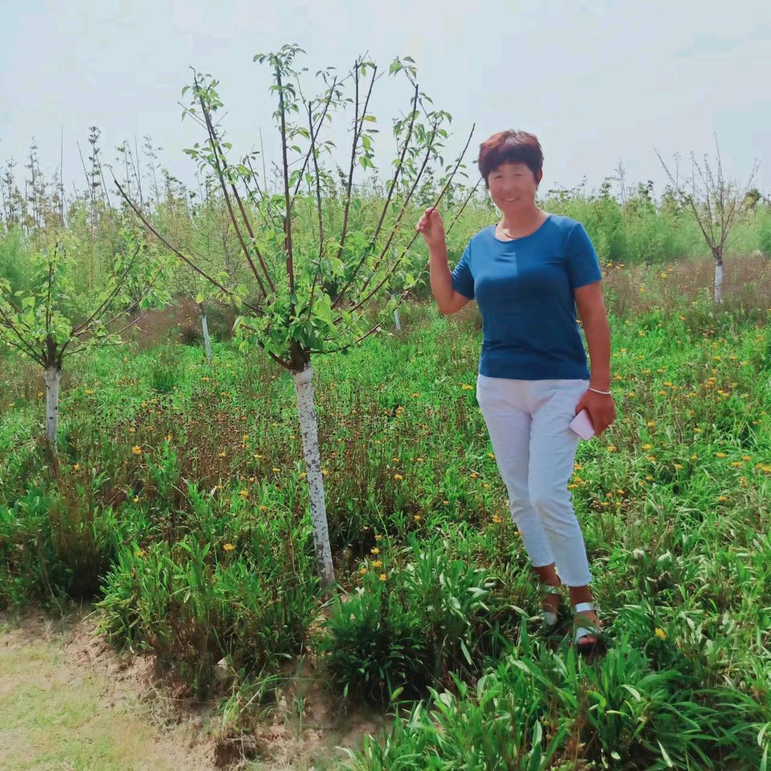 西部新城BⅠ，贾姐