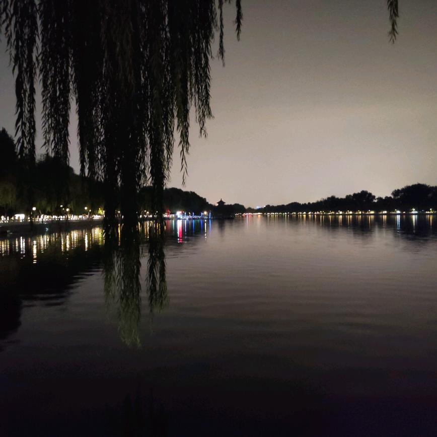 如鱼得水