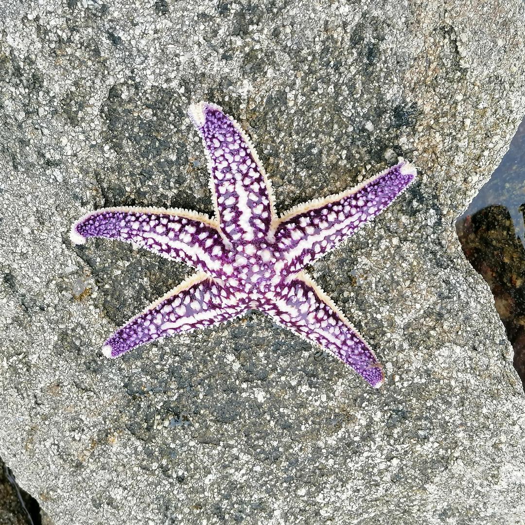 消防工程师精耕细作