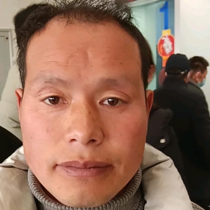 龙行天下