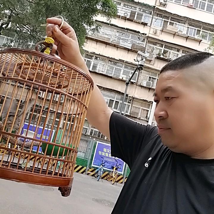 彪哥（特色农产品）